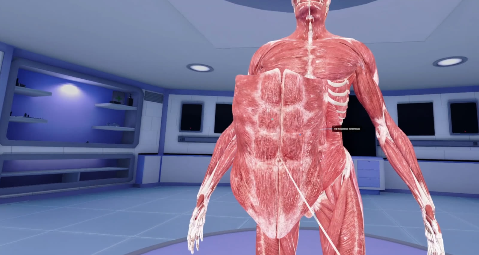 Escena de la simulación Aurora Anatomy VR.